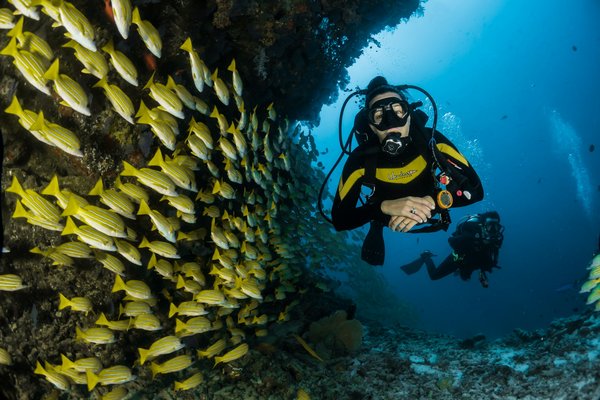 Où séjourner pour des vacances de plongée avec des cours de photographie sous-marine en Mer Rouge?